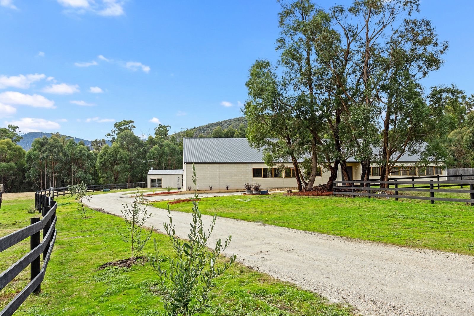 57 HARGREAVES ROAD, STEELS CREEK, 3775